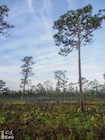 Photo 01