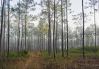 Photo 01