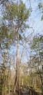 Photo 07