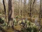Photo 08