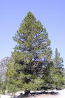 Photo 01