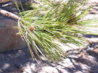 Photo 02