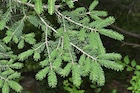 Photo 02