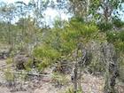 Photo 01