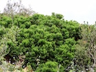 Photo 01