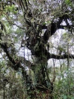 Photo 03