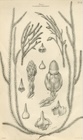 Photo 05