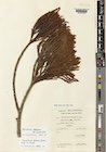 Photo 01