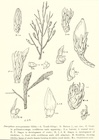 Photo 02