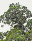 Photo 07