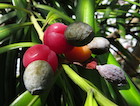 Photo 03