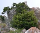 Photo 01