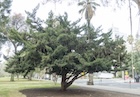 Photo 03