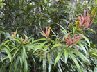Photo 02