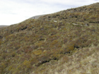 Photo 05