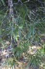 Photo 02