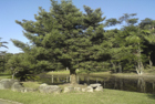 Photo 03
