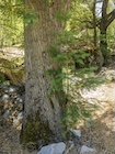 Photo 04