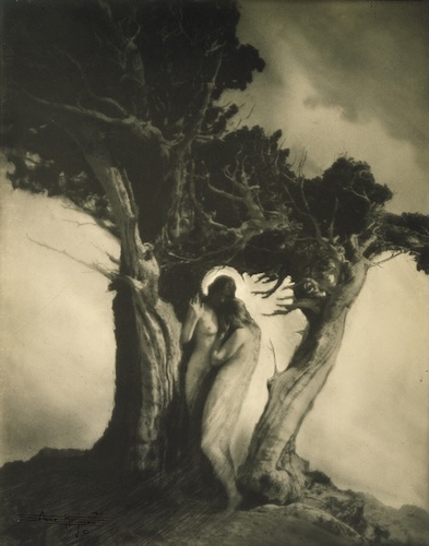Photo showing two women sheltering under two weather-beaten cypresses