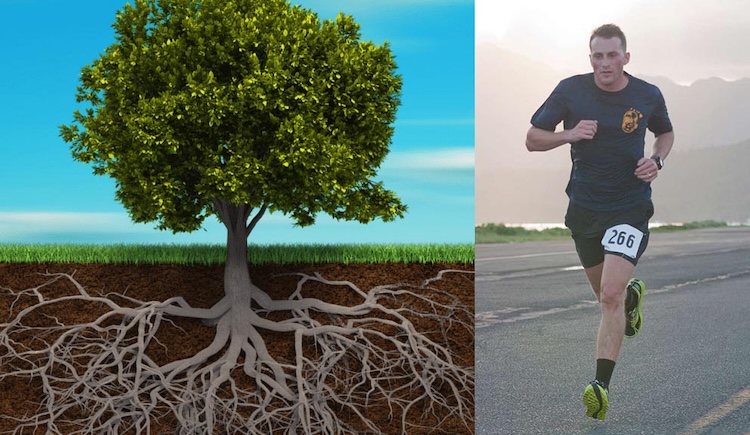 Drawing showing a tree and its root system, next to a photo showing a man running