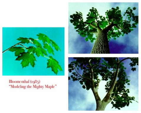 Computer output of a tree and its leaves that bears a very strong resemblance to bigleaf maple