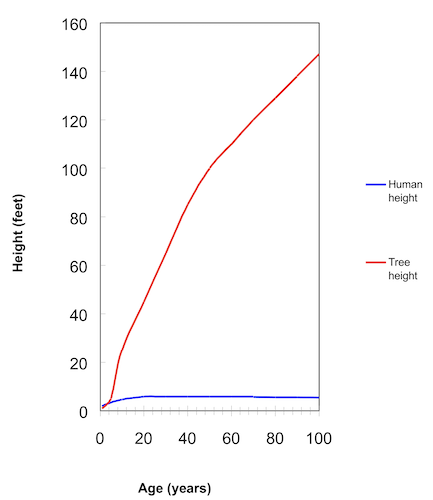 Graph comparing growth over time of a tree and a human