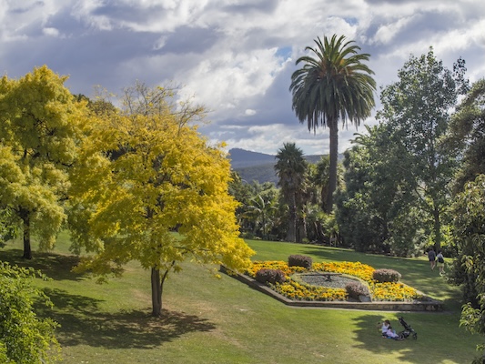 Photo of a park with trees in autumn color and people relaxing on a lawn