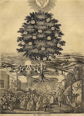 Old engraving of what appears to be a very large fruit tree