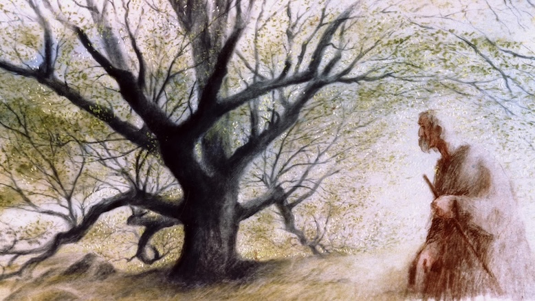 Hand-drawn color image of an old man walking through a woodland