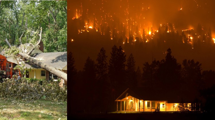 Photo of a house with a fairly large tree lying on top of it, and a photo of a suburban house at night with a mountainside burning behind it