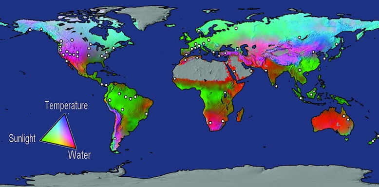 Global map colored to show incidence of climate stress on forest vegetation