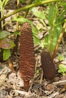 Photo 03