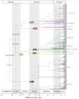 Fig 1 from Leslie et al 2018